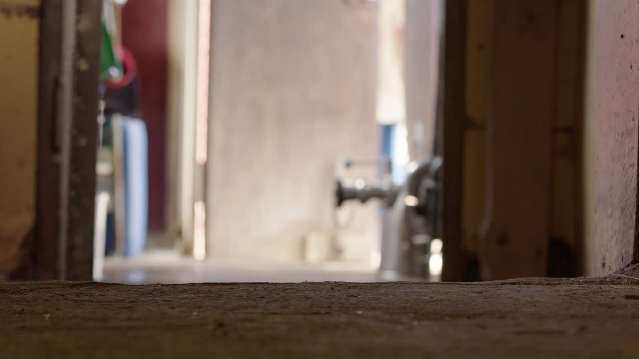 The milkmaid walks away from the parlour to outside and closes the door