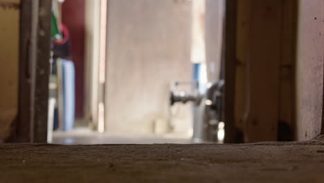 the milkmaid walks away from the parlour to outside and closes the door