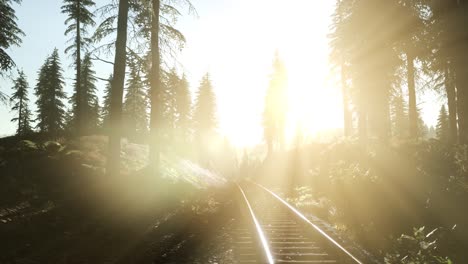 flight over railway