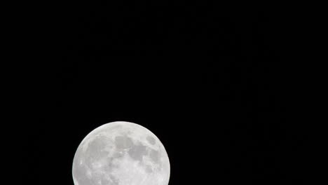 moon 8 00mm