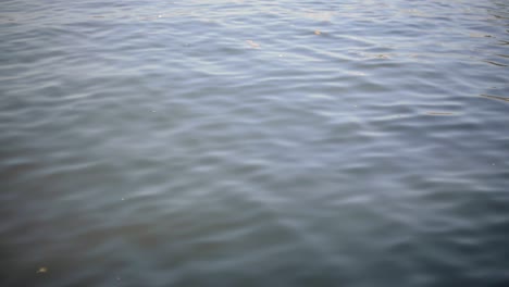 peaceful movement of water ripples on the surface of a lake