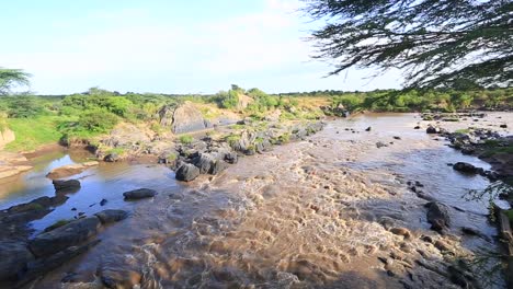 Shallow-brown-muddy-Mara-River-rapids-in-Masai-Mara,-Kenya