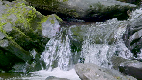 cascada rocosa cubierta de musgo en las montañas de carolina del norte