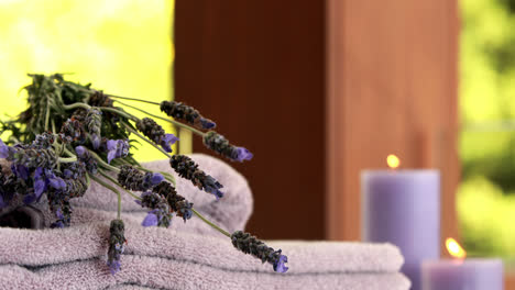 Dried-lavender-on-purple-towels