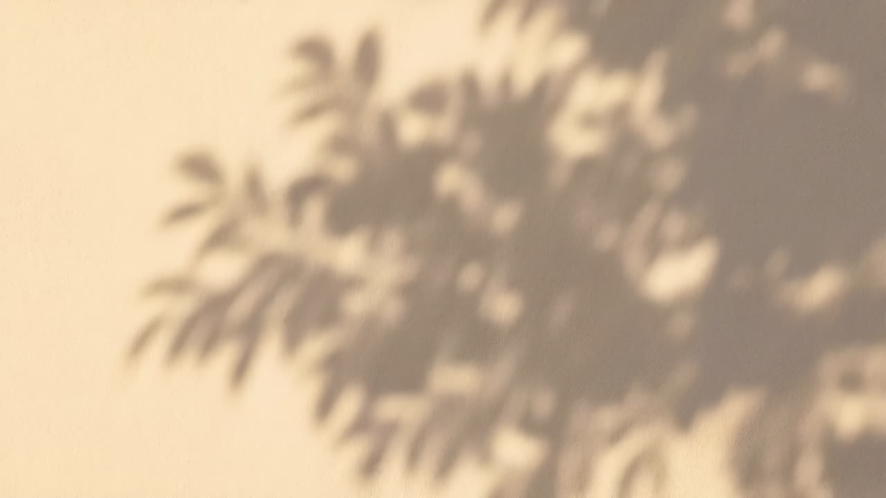 Abstract Shadows of Leaves on a Textured Wall