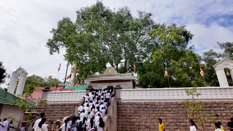crowd gathers near the sacred bodhi tree in anuradhapura, sri lanka, showcasing a significant cultural and spiritual event.