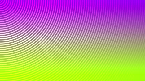 fondo de animación onda radial línea circular gráficos de movimiento diseño de patrón de bucle color efecto digital visual ilusión óptica hermosa cal rosa 4k