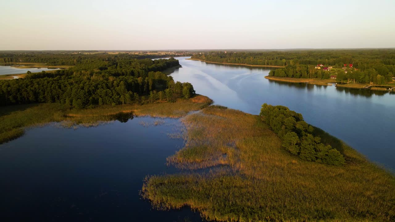 Una vista aerea di una foresta verde vicino a un grande lago blu nella campagna della Lituania