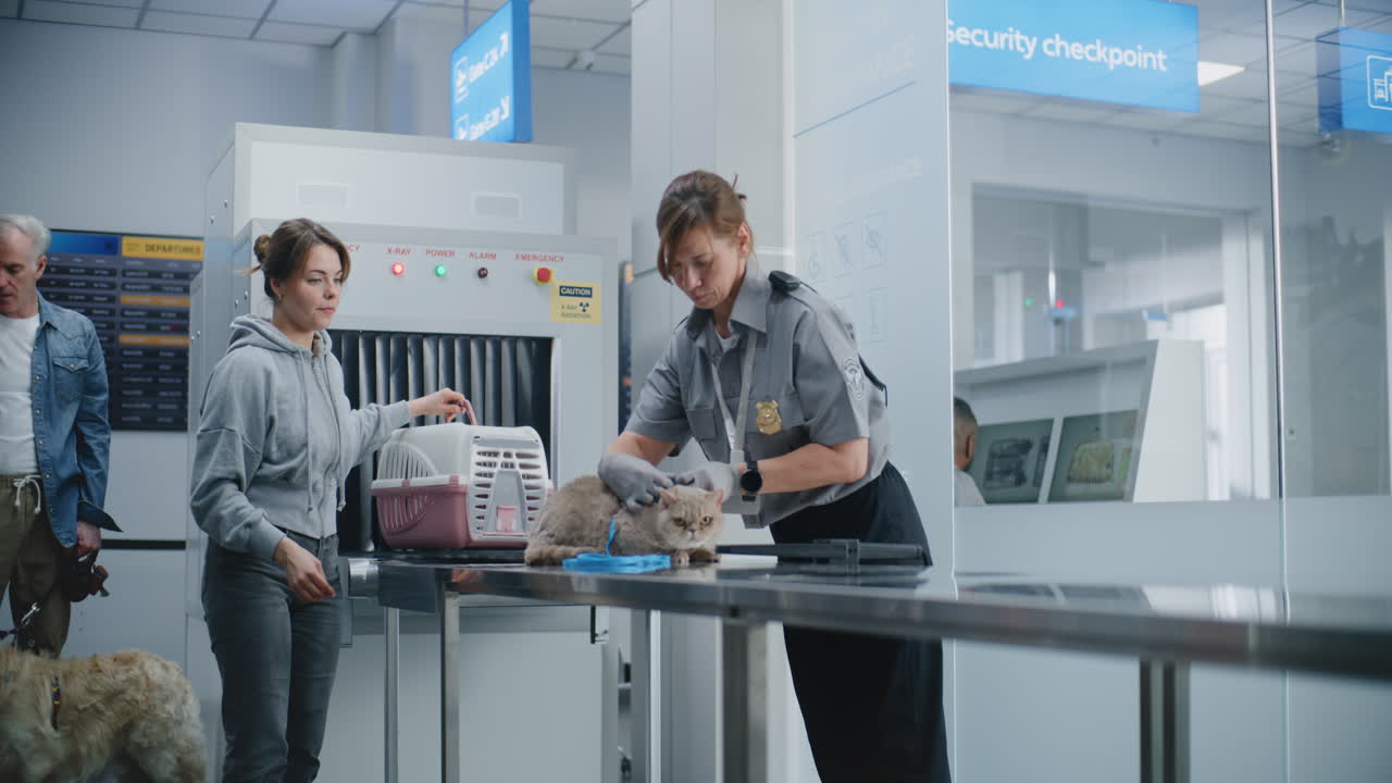 Airport Security Checking a Pet