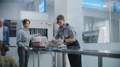 airport security checking a pet