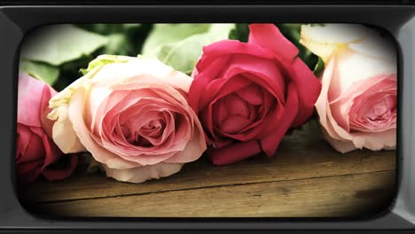 animation of bouquet of roses on retro tv screen