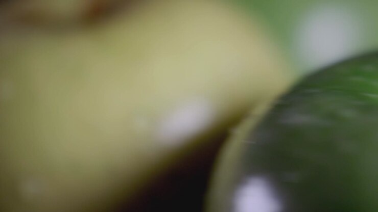 Rotazione di mele fresche verdi e gialle per una dieta sana - Primo piano.