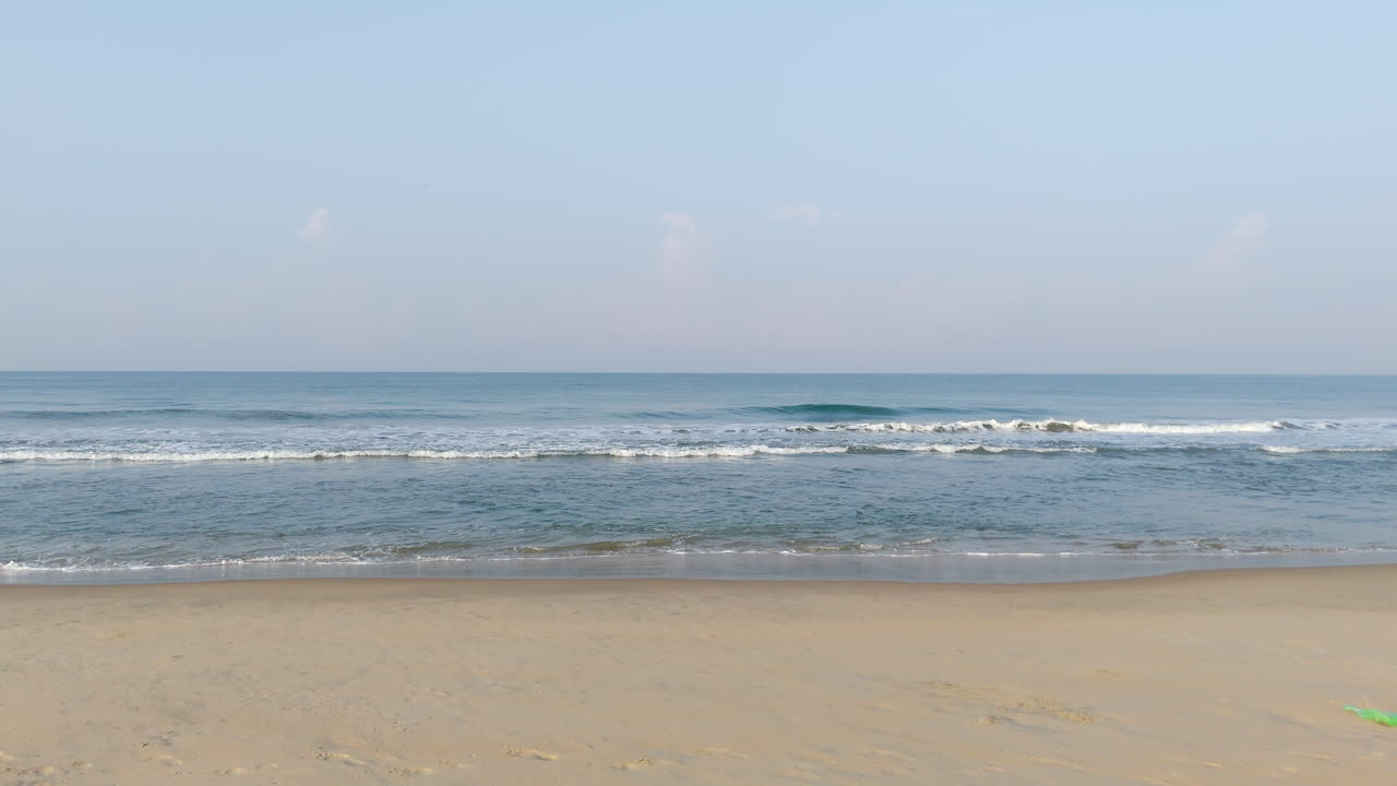 해변, 모래, 나무, 바다에서 아침