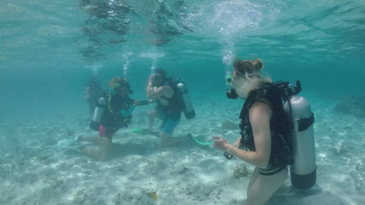 Scuba dive course