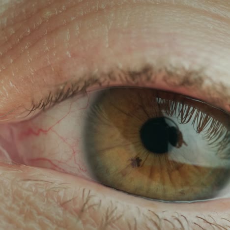 Close-up-of-middle-aged-woman's-brown-eye