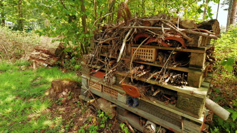 camera moving in towards a wildlife bug hotel in the woods