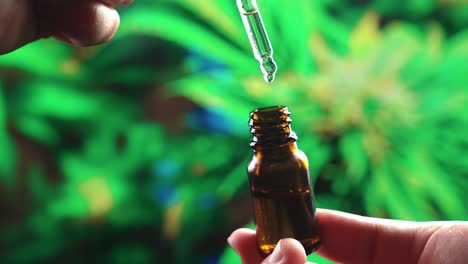 closeup hand holding medical cbd oil bottle from legalized cannabis hemp leaf.