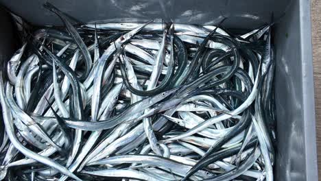 Fish Handling