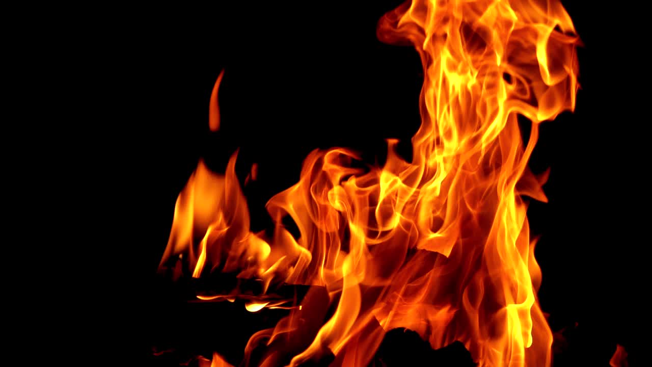 Burning Wood. Burning fire at night, campfire bonfire. Slow motion