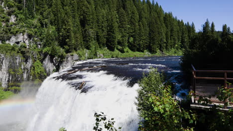 Still-shot-of-a-viewpoint-and-a-juniper-forest-at-the-Upper-Mesa-Falls