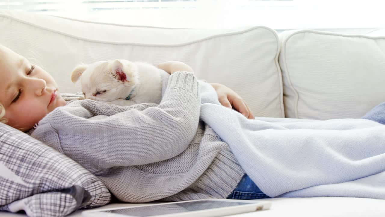 소파에서 잠을 자고 있는 작은 소녀가 애완동물을 팔에 들고 4k 4k