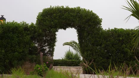 beautiful green floral arch and fence at cloudy windy day