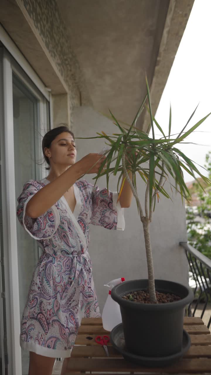 Woman caring for a Dracaena plant on a balcony