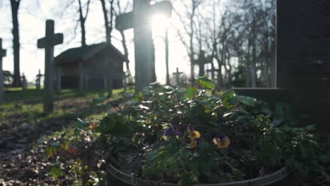 cemetery scene on a sunny day