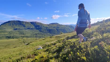 Jack-Russel-Terrier,-Der-In-üppiger-Sommerberglandschaft-Spaziert,-Bevor-Die-Besitzerin-Von-Rechts-In-Den-Rahmen-Eintritt---Svolefjell-Berg-Und-Blauer-Himmelshintergrund