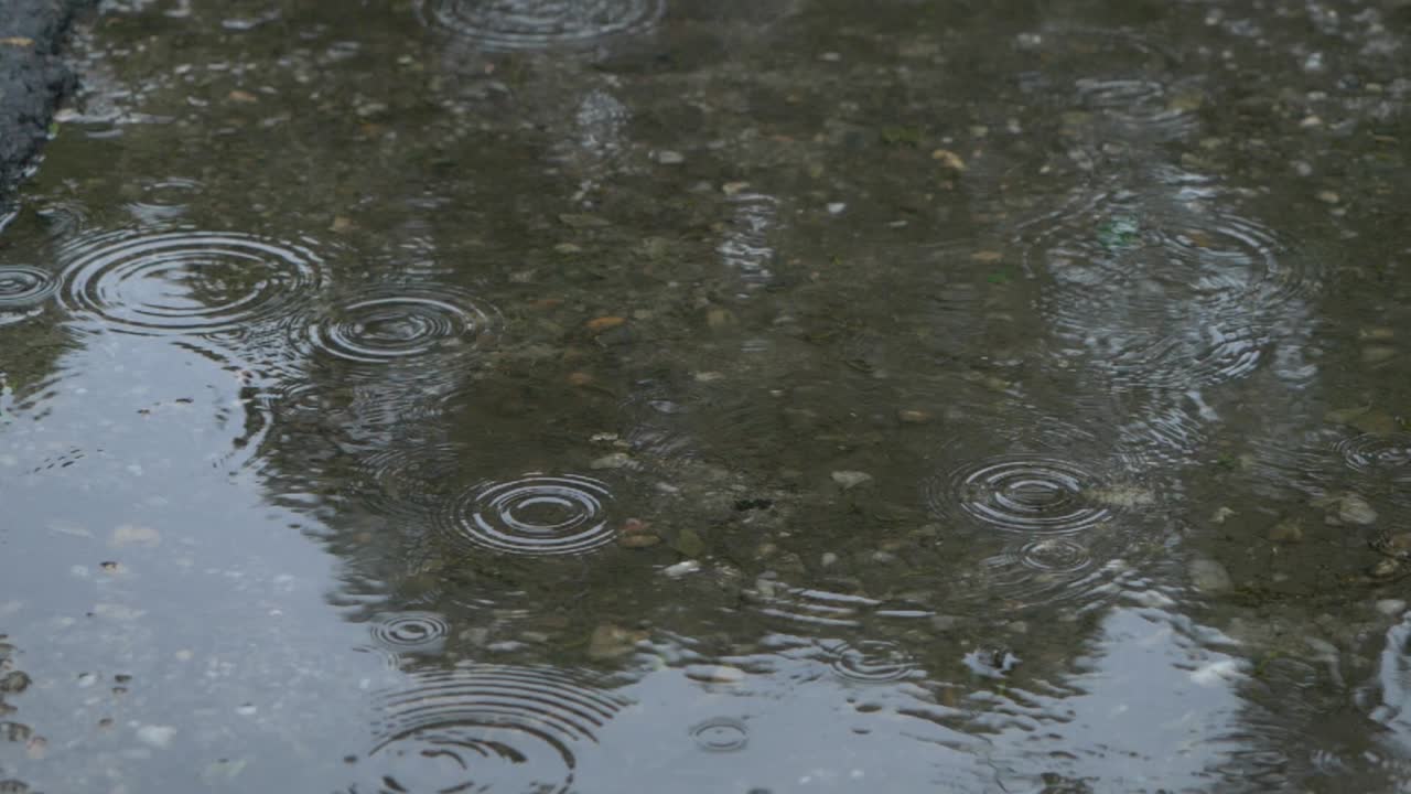 Background In Slowmotion, Drops Of Rain Falling On The Asphalt, Splashes Of Water, Weather And Nature