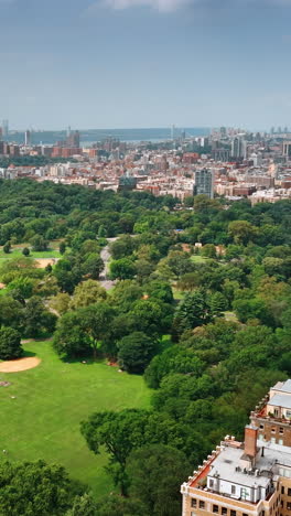 flying above the territory of the central park in new york on sunny afternoon. densely built cityscape at backdrop. top view. vertical video