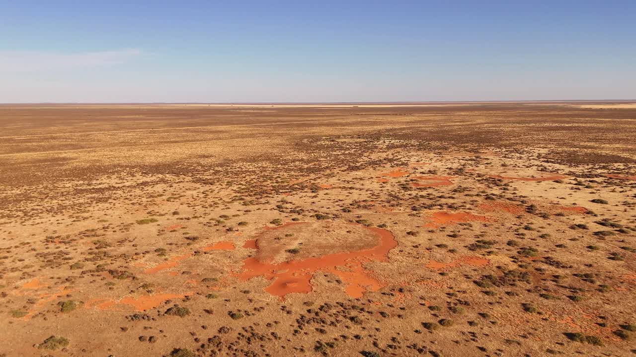 Hay Plains -maisema, jossa on laaja, kuiva maasto, harvaa kasvillisuutta ja punaista maata, joka ulottuu kauas horisonttiin. Tyhjä ja kuiva tausta, Uusi Etelä-Wales, Australia