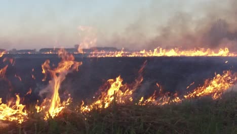 field fire at dusk