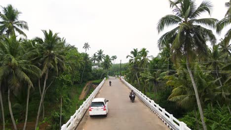 panoramic aerial drone shot of kerala’s tropical landscape, with a flowing river amid a coconut tree forest.