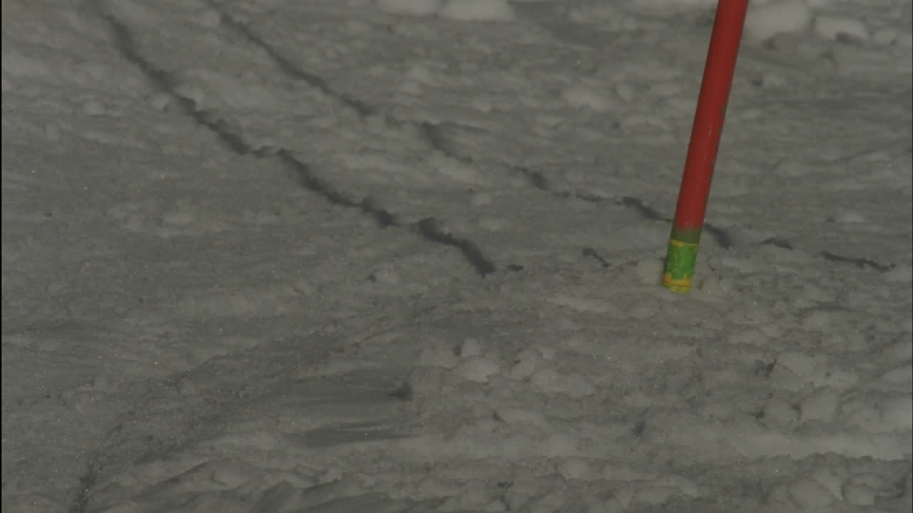 내리막 코스를 달리는 알파인 스키 선수 9