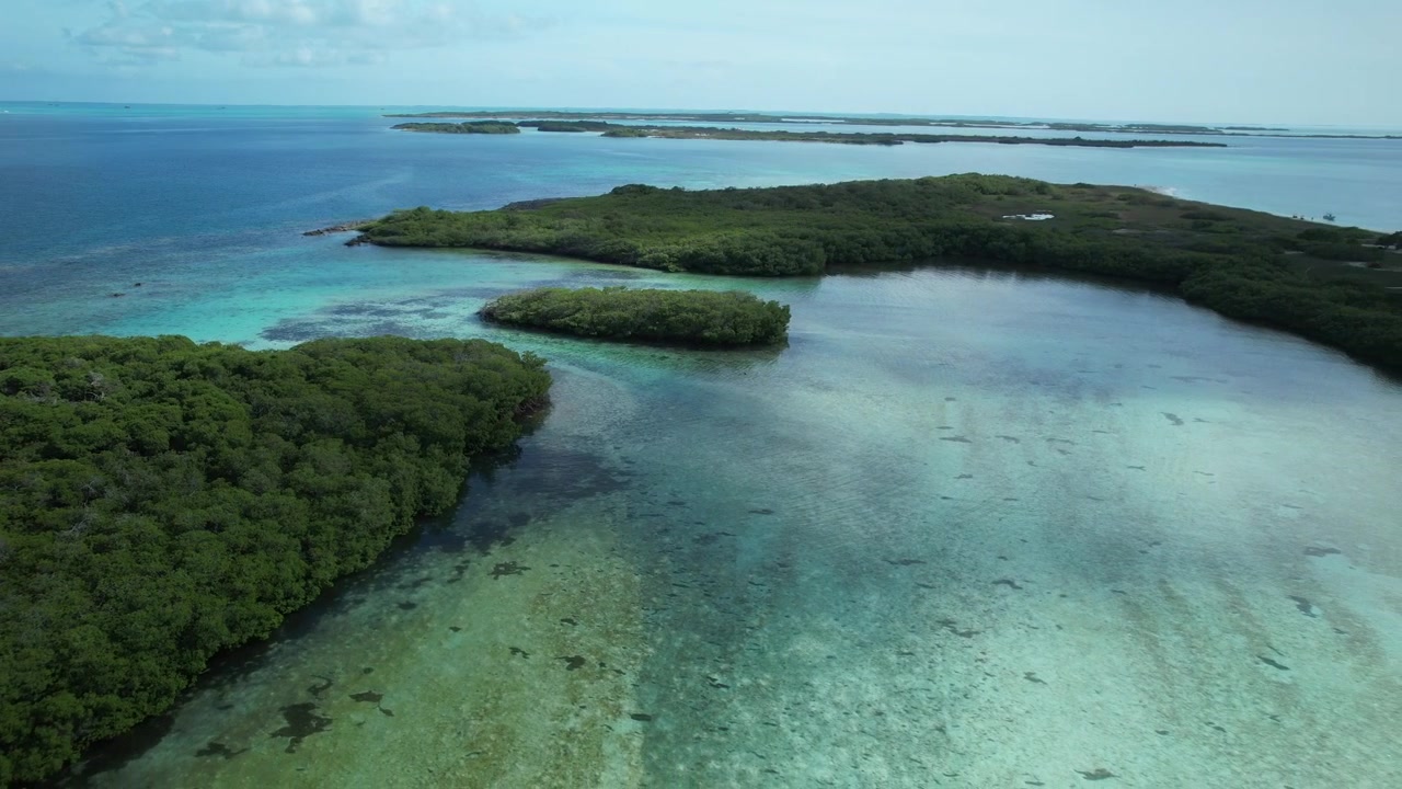 Serena vista aerea di lussureggianti mangrovie verdi circondate da vivaci acque turchesi in una laguna tropicale.