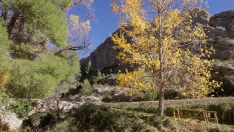 Mediterranean-autumn-landscape-with-mountain,-poplar,-stone-bridge-and-pine-trees-at-sunset