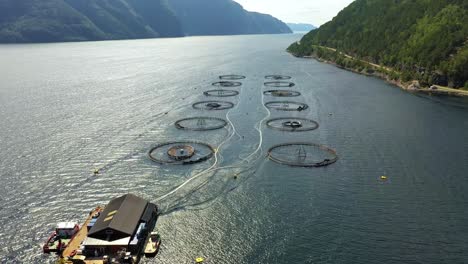 aerial footage farm salmon fishing in norway