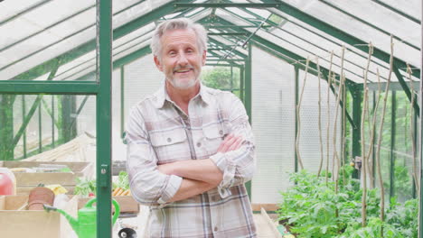 Retrato-De-Un-Hombre-Mayor-Cultivando-Verduras-Parado-En-La-Puerta-Del-Invernadero-Y-Doblando-Los-Brazos