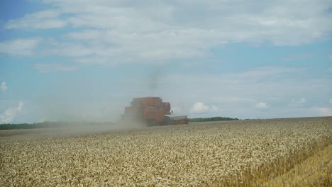 Combine harvester gathers the wheat crop. Wheat Harvesting.