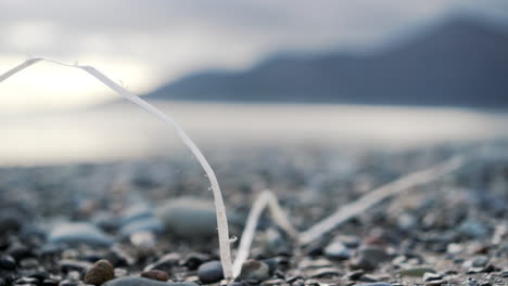 plastic pollution on beach with mountain backdrop