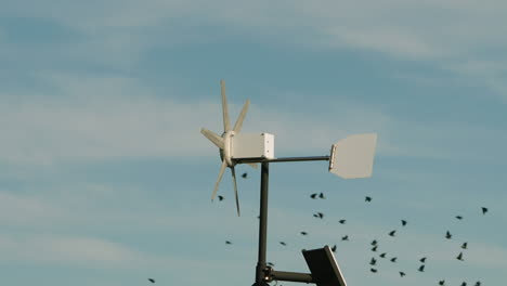 hélices de aerogeneradores girando con una bandada de pájaros volando en el fondo