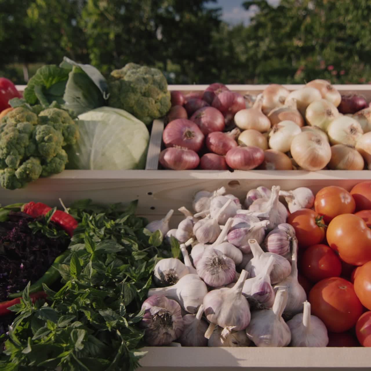 Vegetable counter at farmers market 5