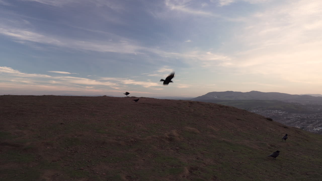 아름다운 하늘과 에든버러의 도시 경관을 배경으로 산꼭대기의 강풍으로 인해 그 자리에서 날아가는 브리즈의 샷