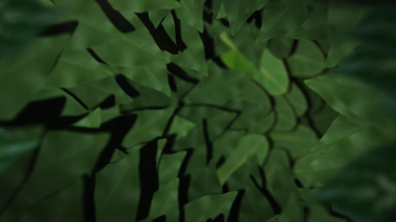 Green Leaves Spiral Tunnel Loop