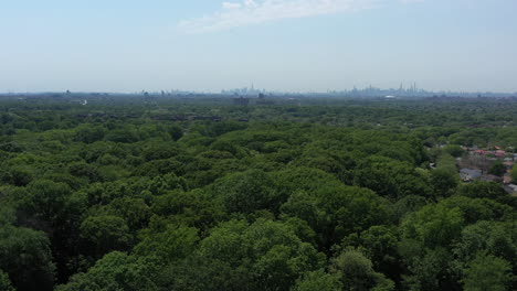 an aerial view above green tree tops in a park on a sunny day