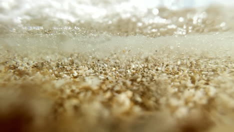 underwater shot of tiny shells and sediment on the sea bed