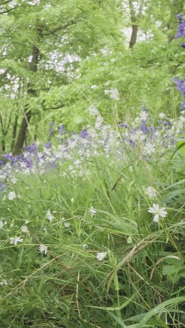 Vertikales-Video-Waldland-Mit-Glockenblumen,-Die-In-Der-Britischen-Landschaft-Wachsen