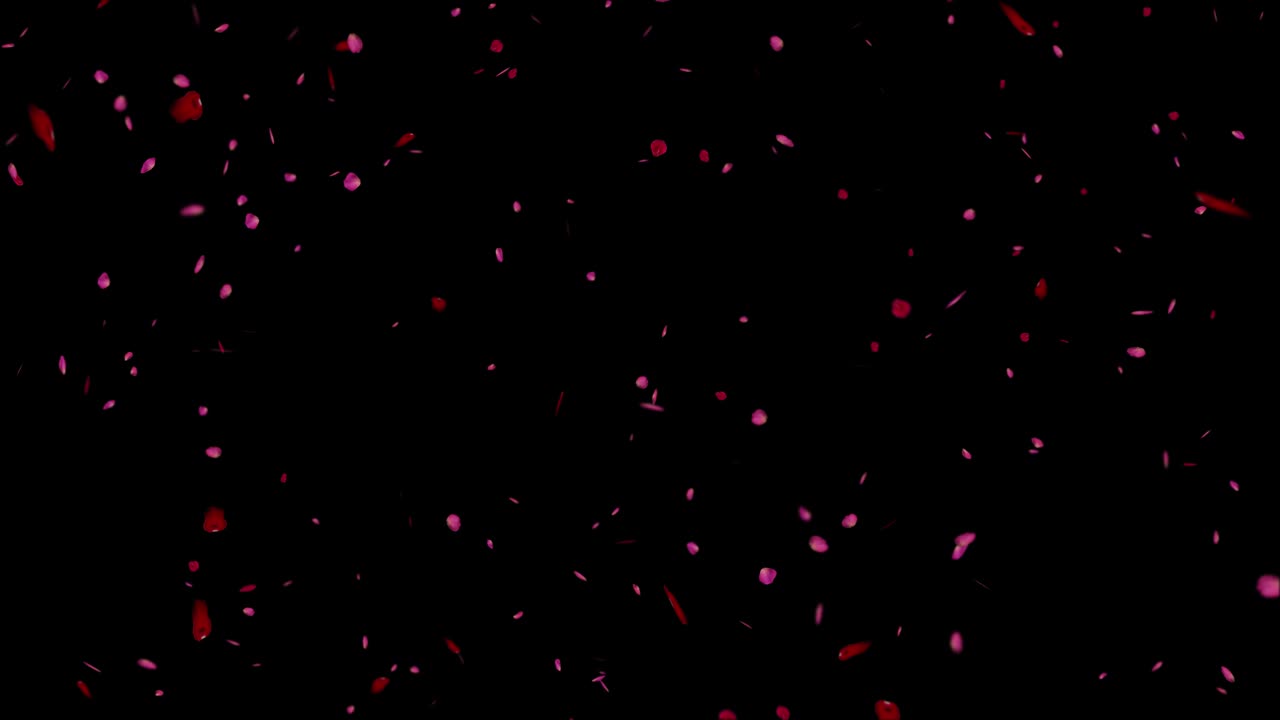 장미 꽃잎은 검은색과 녹색 화면에 루프 애니메이션