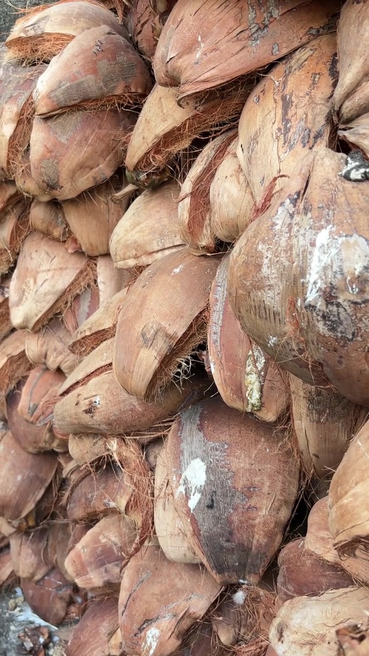 Close-up View of Piled Dried Coconut Husks